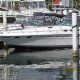 42' Searay Express