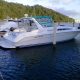 42' Searay Express